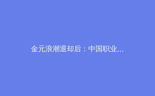 金元浪潮退却后：中国职业体育联赛的可持续发展之路 - 4